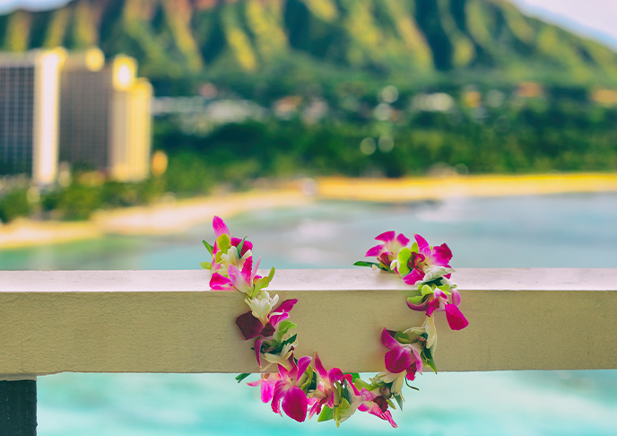 レイのイメージ