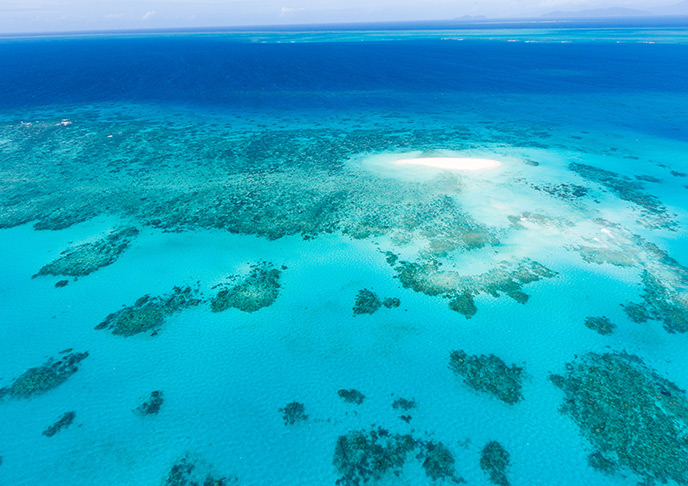 グレートバリアリーフ