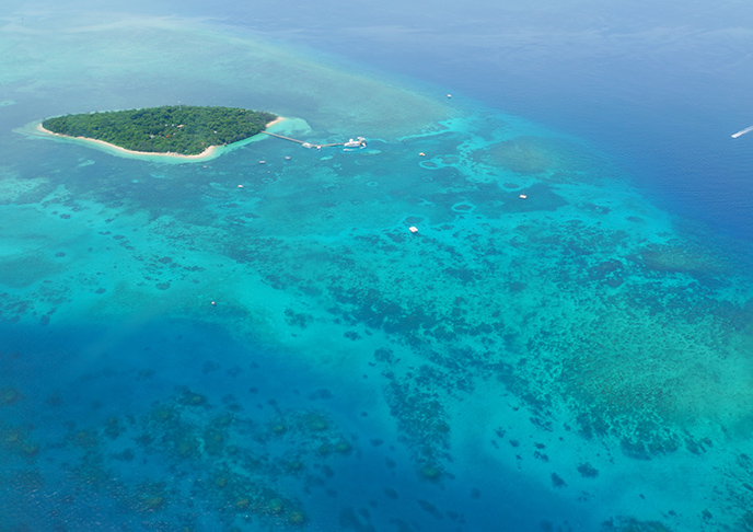 グレートバリアリーフ