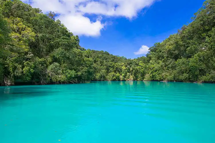 ミルキー・ウェイ