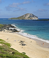 �}�J�v�E�E�r�[�`�E�p�[�N