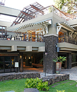 �A�C�����h�E���B���e�[�W�E�R�[�q�[�O��