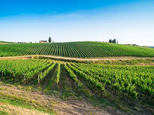 アグリツーリズモ