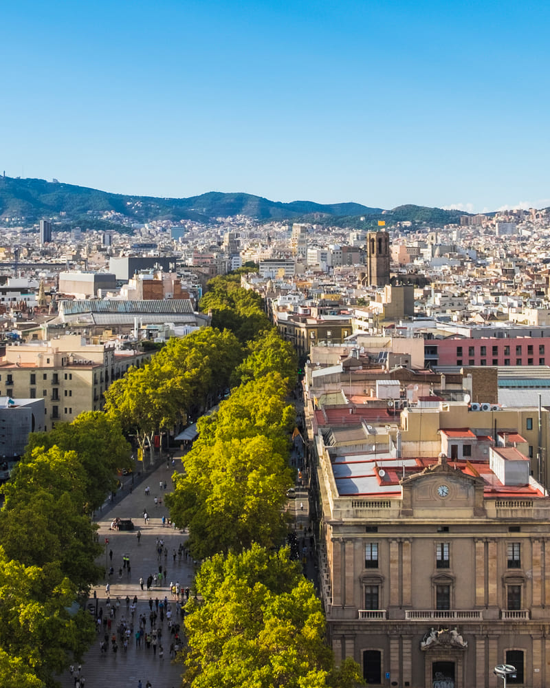 Amazon.com: Spain Travel Guide 2022: Discover Top Sights
