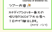 �c�A�[���e�@�J�i�f�B�A�����b�L�[�ő�̌Ăт��̃R�����r�A��X����1�������Ċό����܂��B