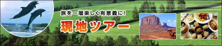 ������w�y�����L�Ӌ`�ɁI�@���n�c�A�[