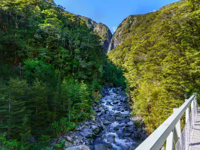 ニュージーランド