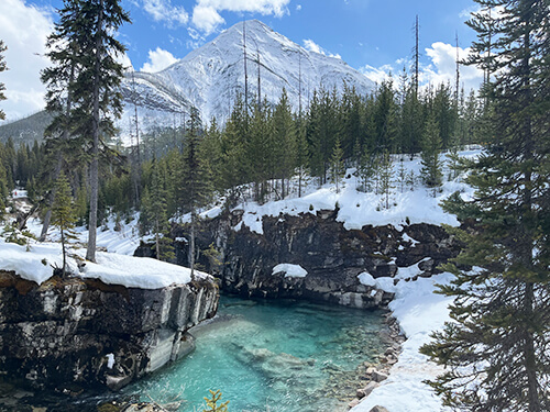 レンタカーなしで大自然を満喫 イメージ