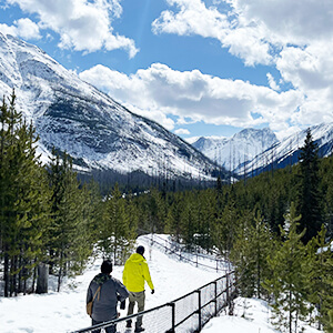 レンタカーなしで大自然を満喫 イメージ