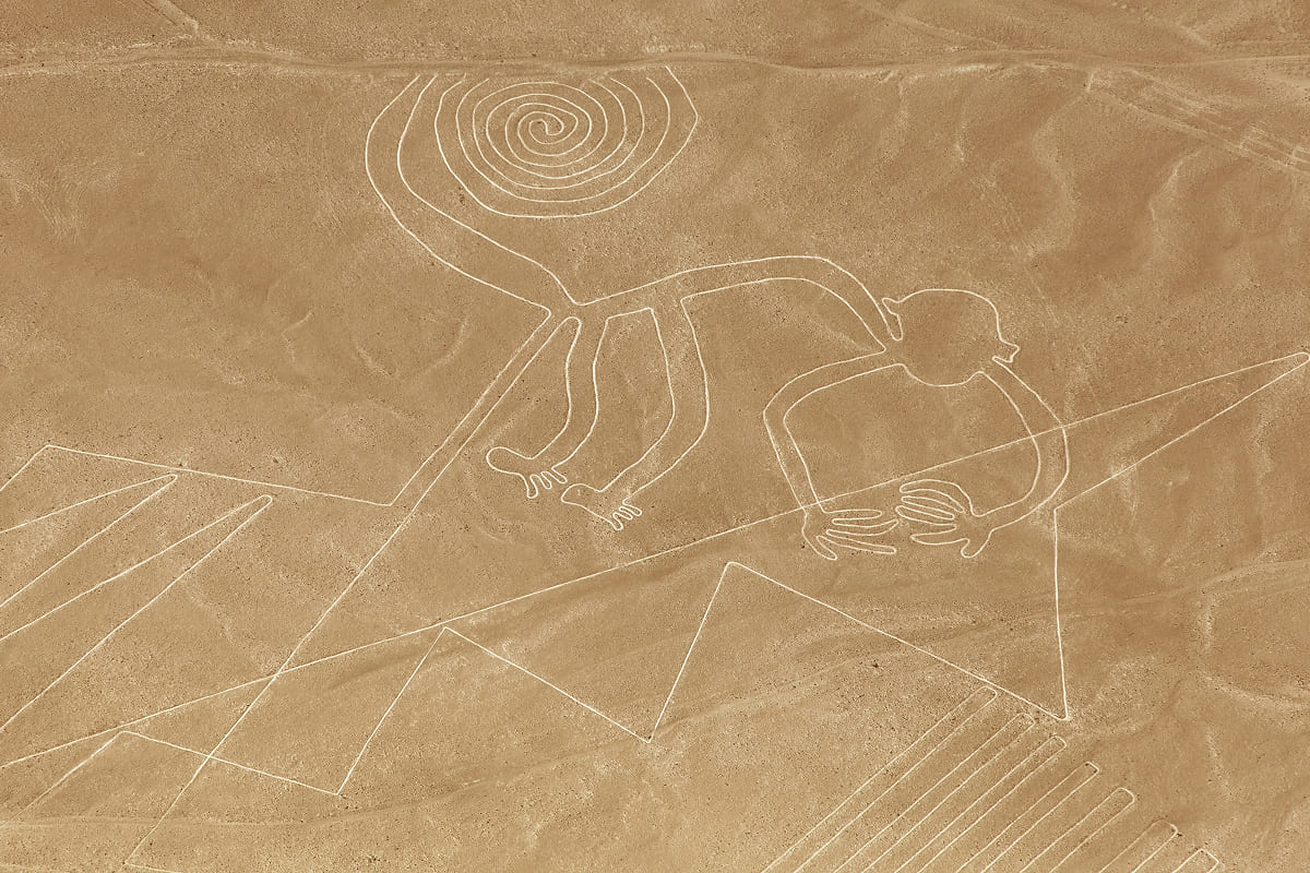 ナスカの地上絵「サル」