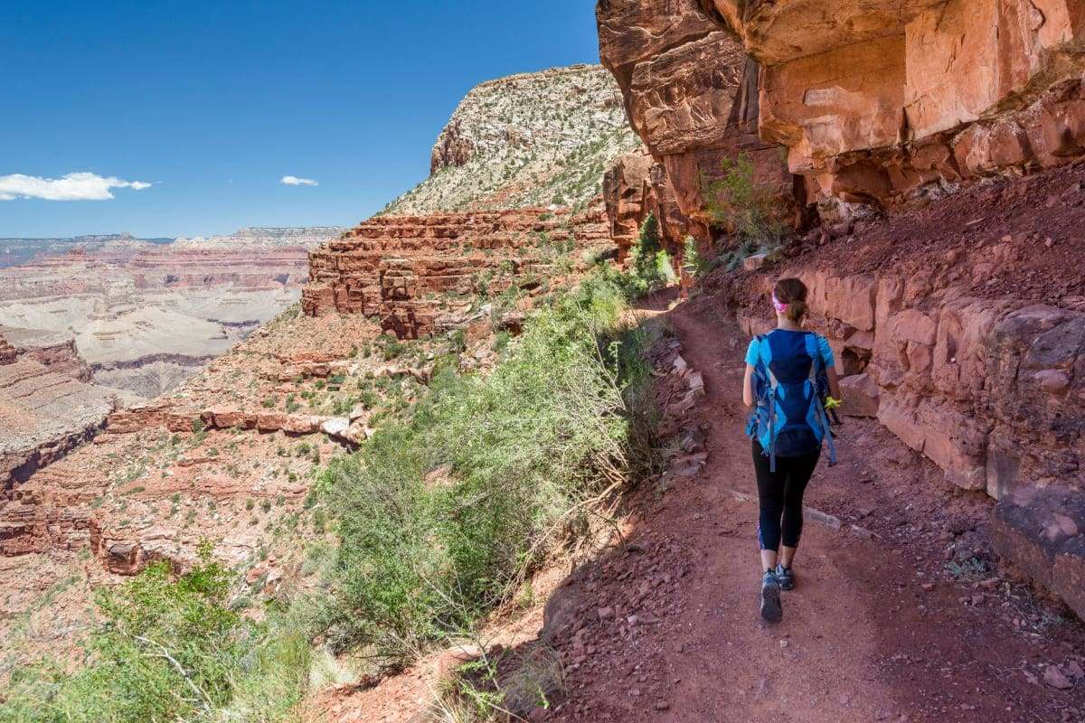 公園内のハイキングルート