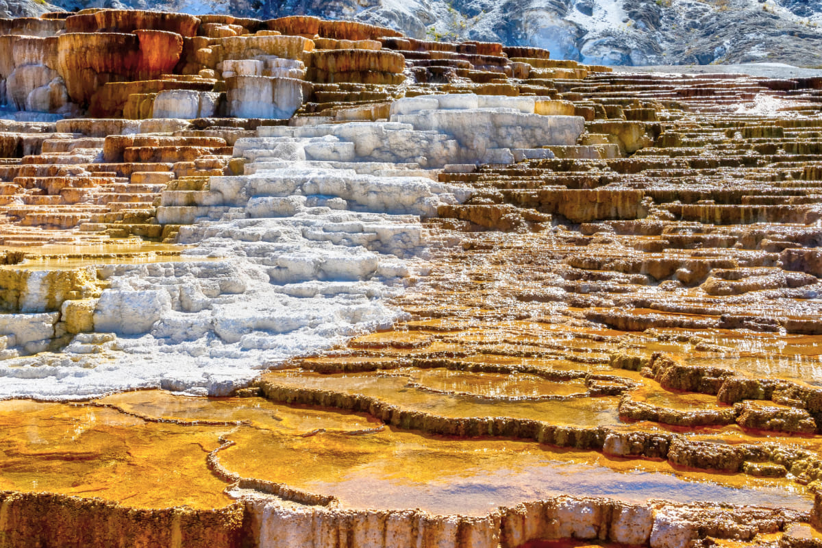 マンモス・ホット・スプリングス