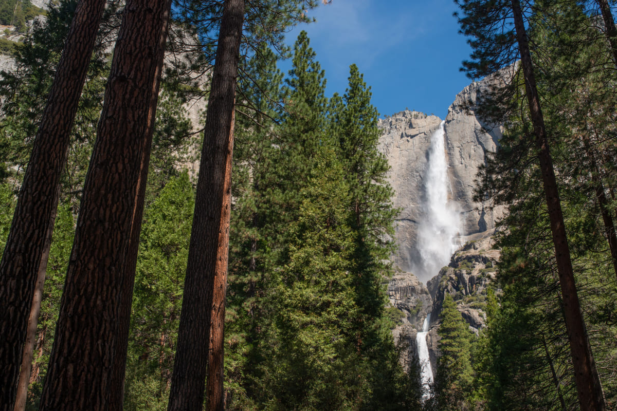 ロウアーフォール