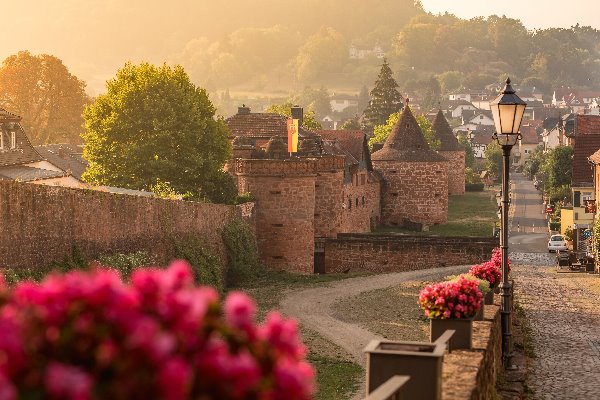 フランクフルトからの小旅行 ビューディンゲン