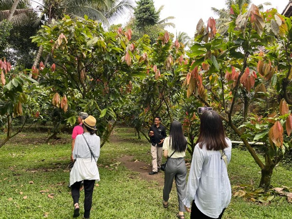 バリ島で味わうサステナブルチョコレート〜JUNGLE GOLD BALI