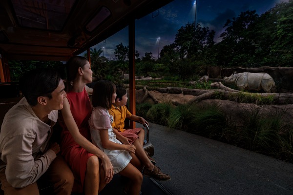 シンガポールのナイトサファリ完全ガイド・夜の動物園を満喫