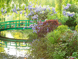 【没後100周年】1日先着6名様限定！早割20%OFFでおトクに