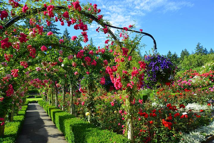 ©The Butchart Gardens