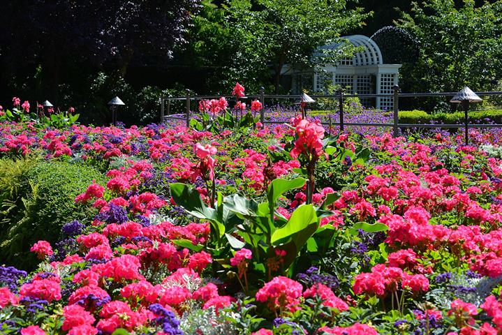 ©The Butchart Gardens