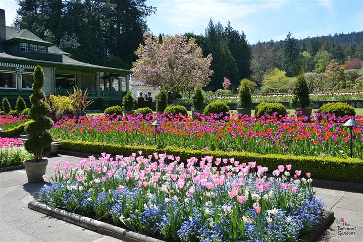 ©The Butchart Gardens