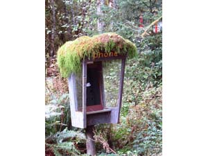 オリンピック国立公園    公衆電話　