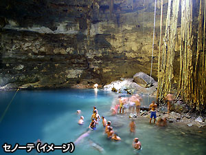 セノーテ（イメージ）　