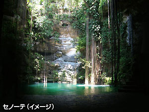 セノーテ（イメージ）　