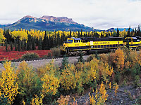 デナリ国立公園    汽車　