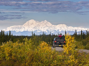 デナリ国立公園    車　