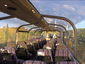 デナリ国立公園    ドームカー    内装　