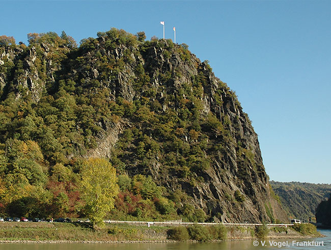 日本語アシスタントが英語ツアーにアテンドします。