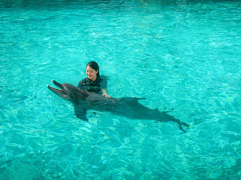 ★マリン・ママル・ハビタット(Marine Mammal Habitat)