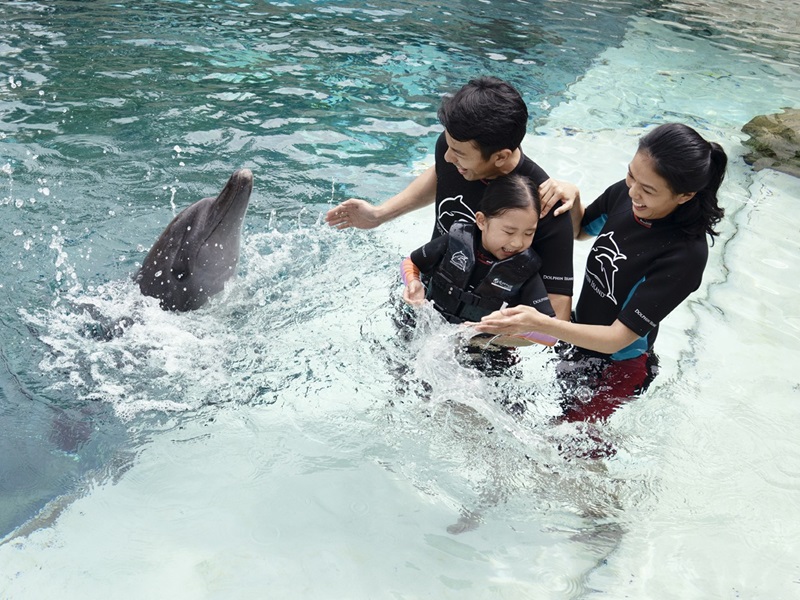 <ドルフィン・イマージョン>