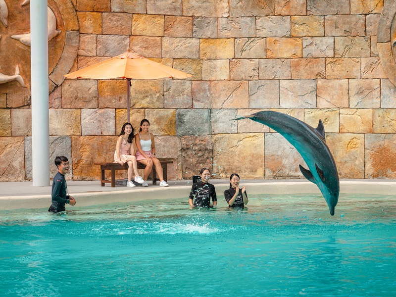 <ドルフィン・オブザーバー>