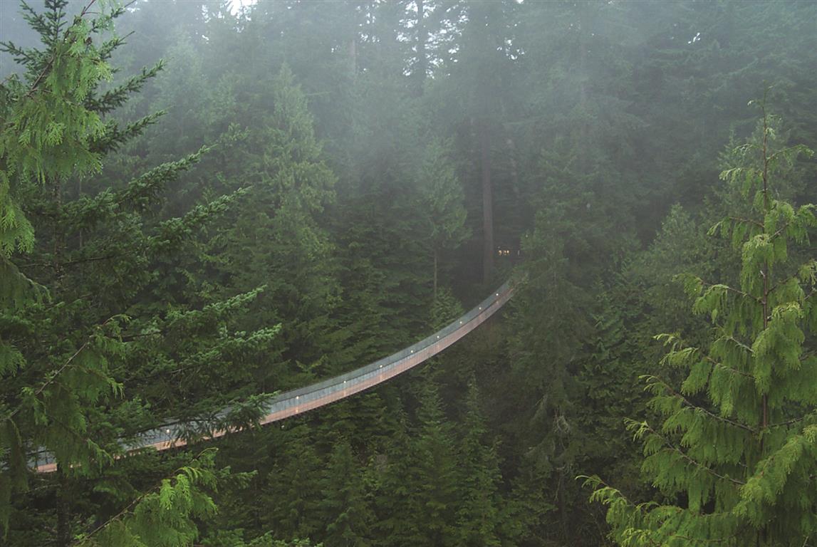 Capilano Suspension Bridge