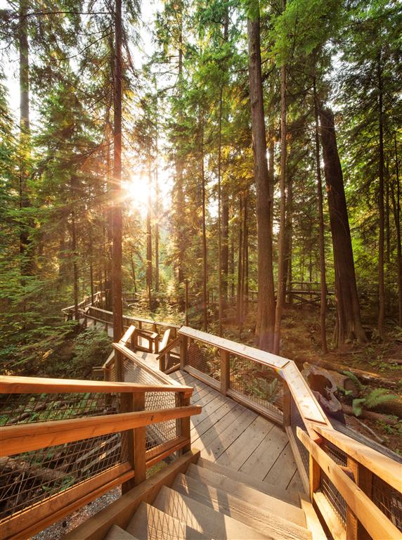 Capilano Suspension Bridge