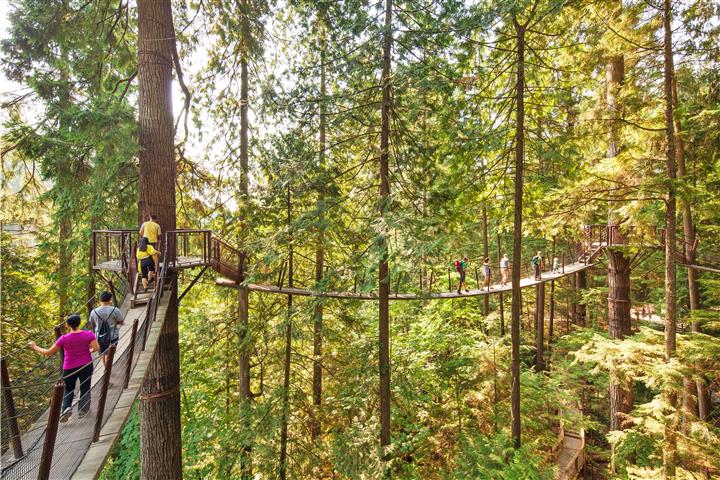 Capilano Suspension Bridge