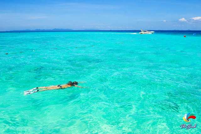 バンブー島でのシュノーケリング（イメージ）