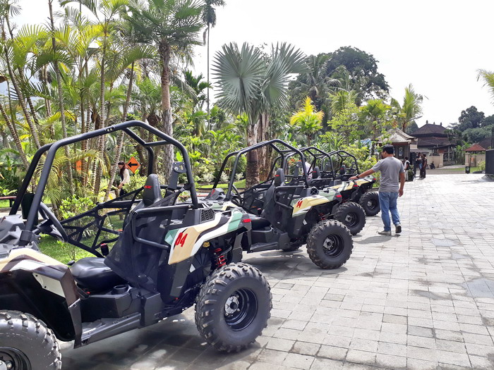 ジャングルバギー