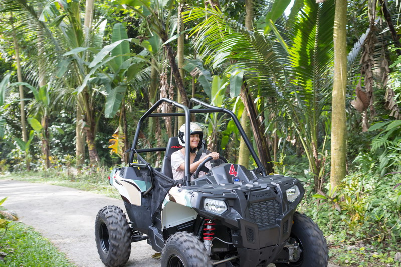 ジャングルバギー