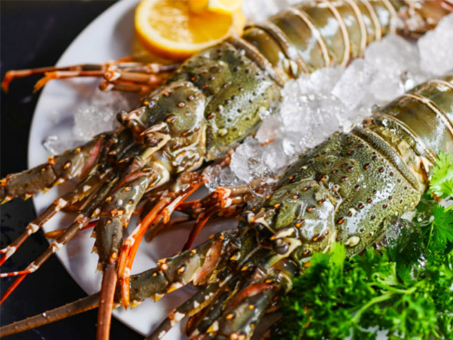 新鮮なシーフード料理を満喫