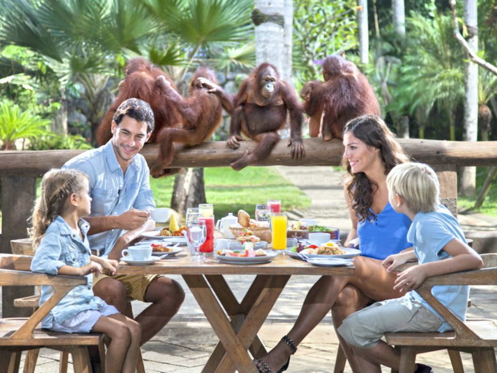 【動物】オランウータン、コモドドラゴン、ベンガルトラも！バリ島人気の動物園で遊ぼう（送迎付）  