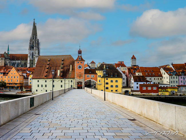 ガイドをチャーターしてお好きな街を観光できます！