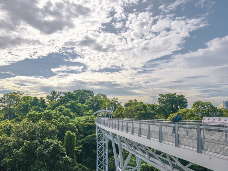 ❖みどころ②❖ 自然と歴史を組み合わせた散策スポット「フォート・シロソ・スカイウォーク」