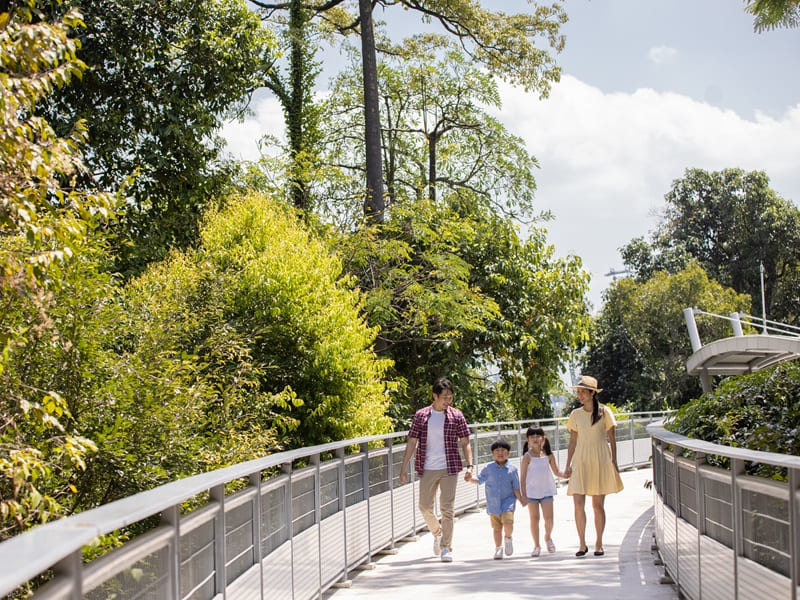 ❖みどころ②❖ 自然と歴史を組み合わせた散策スポット「フォート・シロソ・スカイウォーク」