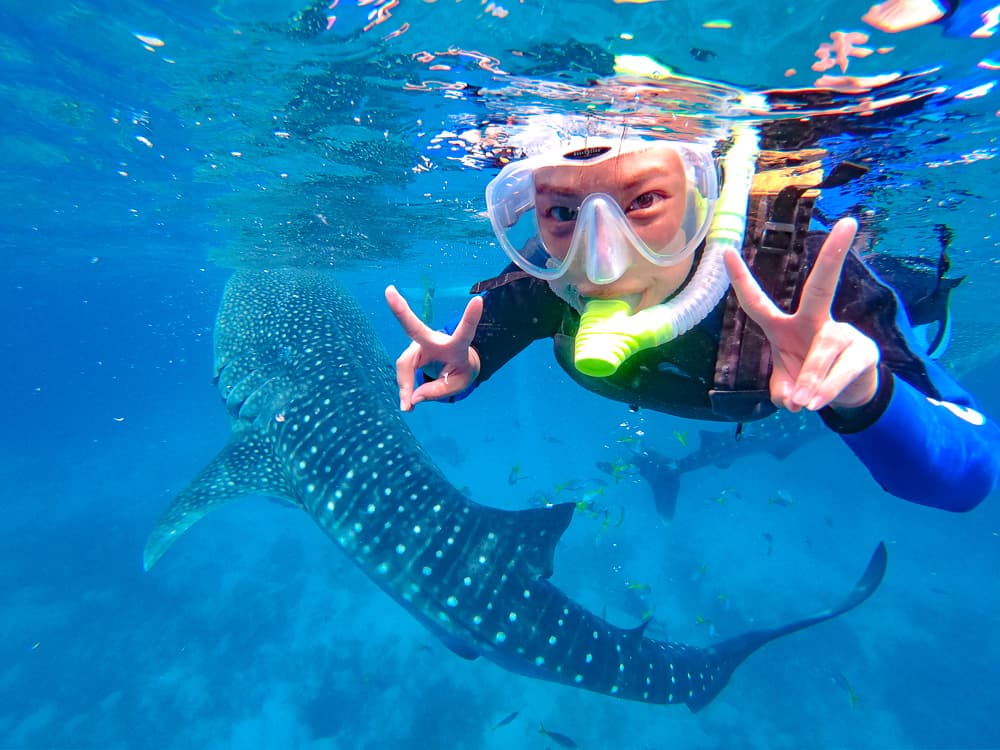 【参加日限定／人数割引キャンペーン開催中！】