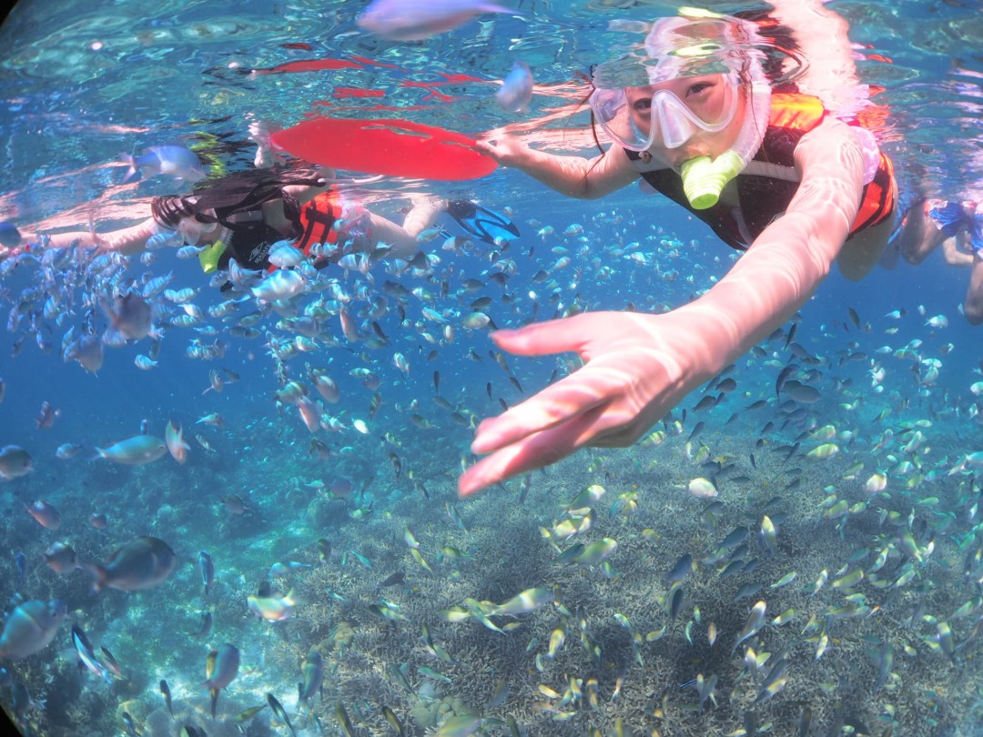 海洋保護区でのシュノーケリング体験