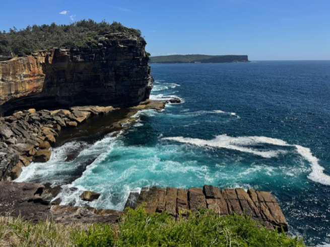 タロンガ動物園入場＋フェリー乗り放題