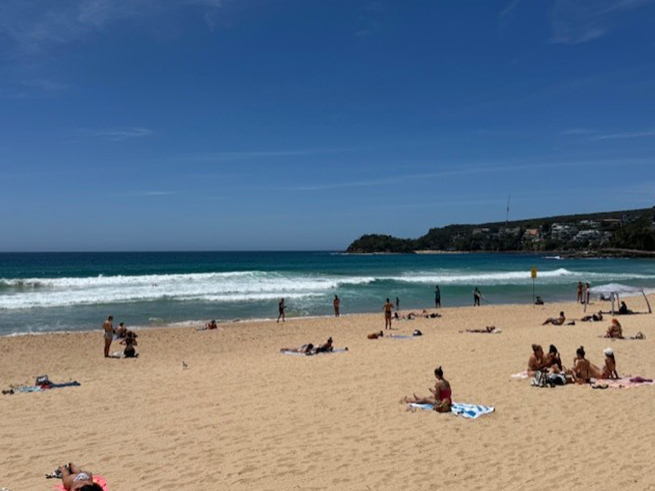 タロンガ動物園入場＋フェリー乗り放題