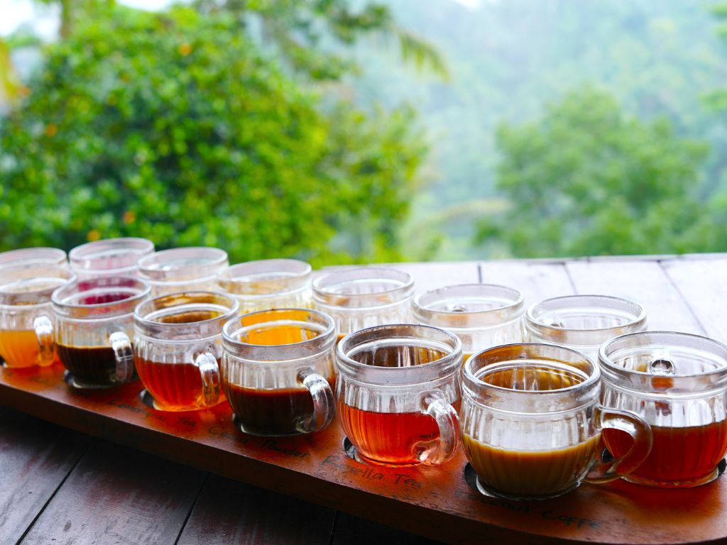 バリコーヒーファーム